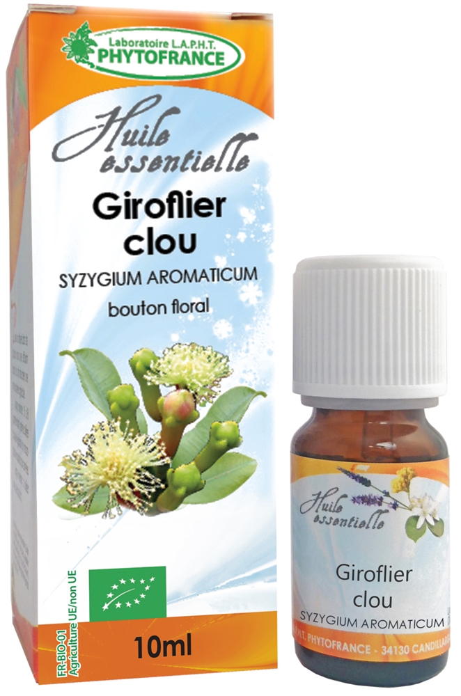 Huile Essentielle de Girofle (clous) Bio - Syzygium Aromaticum